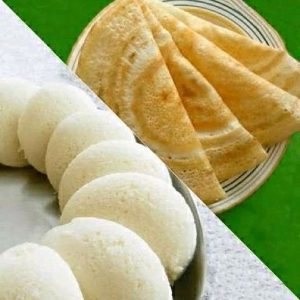 Avinya Indian Cuisine's idli and dosa, a popular South Indian breakfast, on a green and white background.